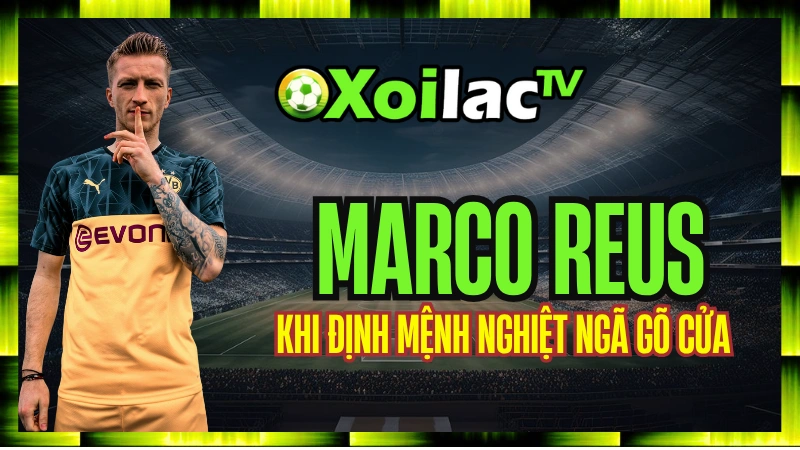 Khi Định Mệnh Nghiệt Ngã Gõ Cửa: Chuỗi Chấn Thương Không Dứt